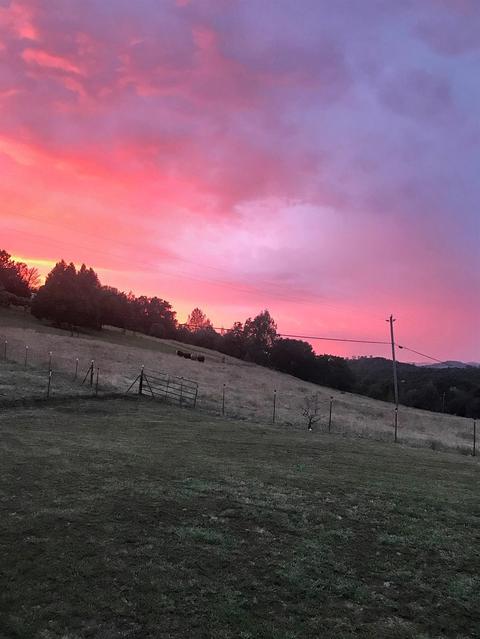 3871 Luneman Rd, Placerville, CA 95667 photo 7