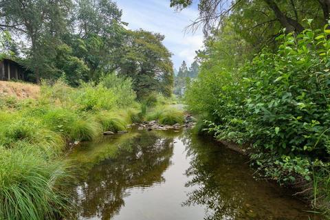 133 Badger St, Sutter Creek, CA 95685 photo 16