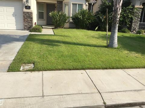 629 Cistus St, Manteca, CA 95337 photo 22
