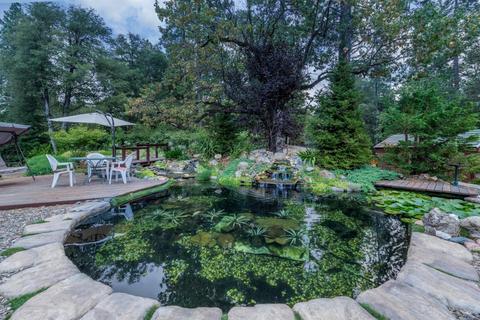 4785 Scotch Pine Ln, Placerville, CA 95667 photo 36