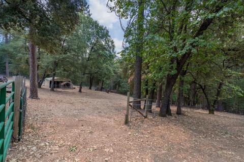4785 Scotch Pine Ln, Placerville, CA 95667 photo 11