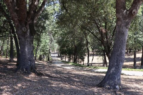 4785 Scotch Pine Ln, Placerville, CA 95667 photo 44