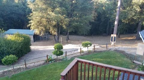 4785 Scotch Pine Ln, Placerville, CA 95667 photo 41