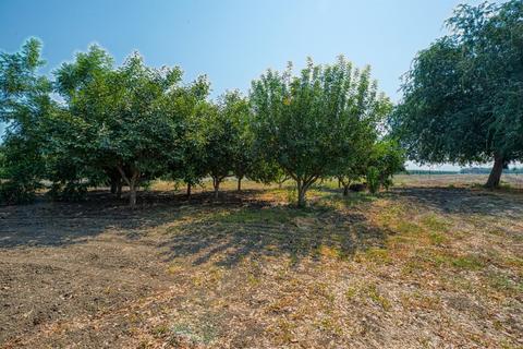 618 Orange Ave, Patterson, CA 95363 photo 7