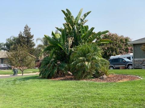 7842 W Depot Master Dr, Tracy, CA 95304 photo 28