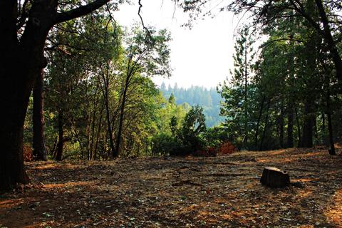 2000 Mountain Way, Placerville, CA 95667 photo 3