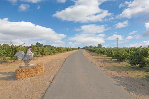 10184 E Highway 12, Lodi, CA 95240 photo 73