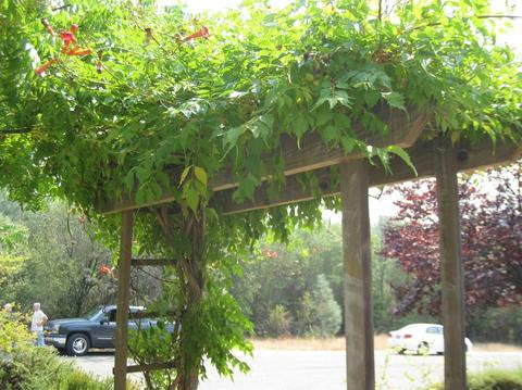 2544 Golden Eagle Dr, Placerville, CA 95667 photo 14