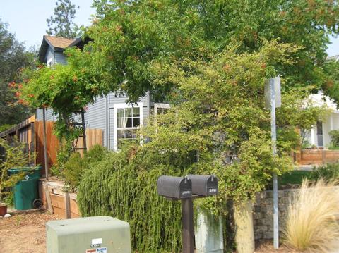 2544 Golden Eagle Dr, Placerville, CA 95667 photo 8