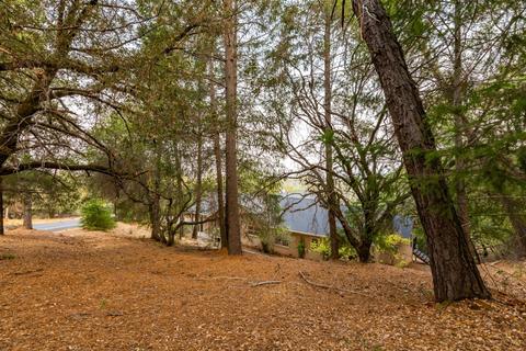 2185 American River Trl, Cool, CA 95614 photo 64