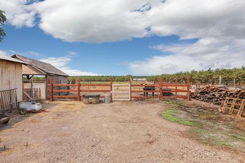 10199 Lyons Rd, Ripon, CA 95366 photo 48