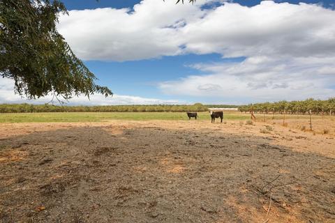 10199 Lyons Rd, Ripon, CA 95366 photo 58