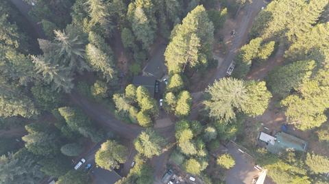 1437 Maple, Arnold, CA 95223 photo 44