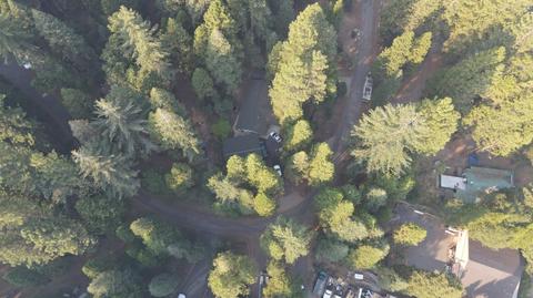 1437 Maple, Arnold, CA 95223 photo 48