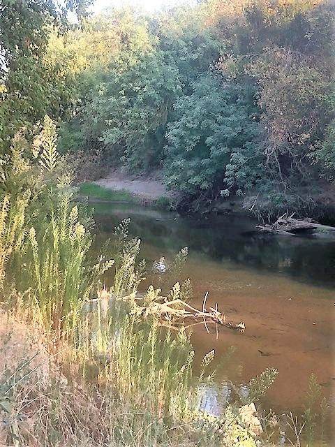 970 Suffolk Way, Ripon, CA 95366 photo 55