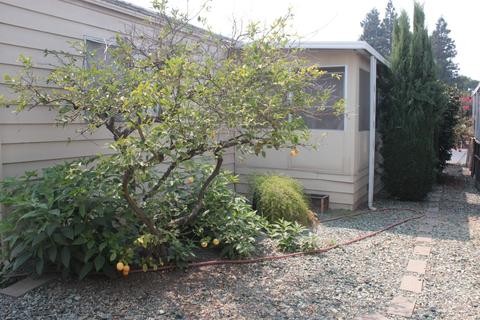 3920 Pali, Modesto, CA 95355 photo 29