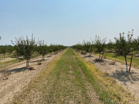 7500 W Grayson Rd, Modesto, CA 95358 photo 2