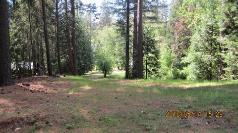 32982 5th Ave, Dutch Flat, CA 95714 photo 15