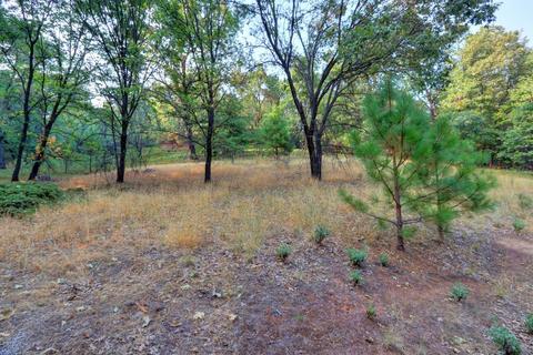 4500 Pacific Crest Trl, Placerville, CA 95667 photo 31