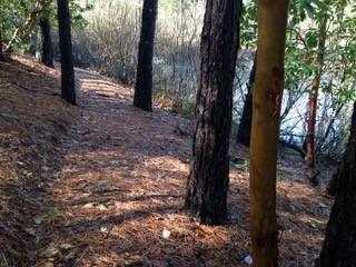 14663 La Noria Ct, Grass Valley, CA 95945 photo 20