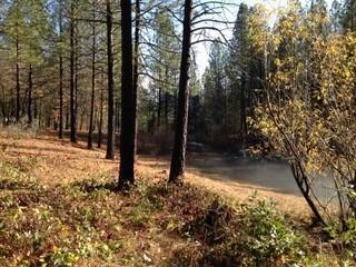 14663 La Noria Ct, Grass Valley, CA 95945 photo 13