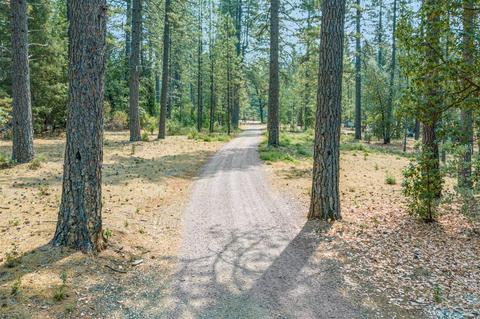 14663 La Noria Ct, Grass Valley, CA 95945 photo 31