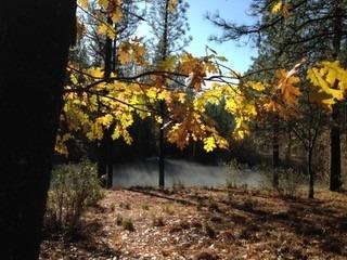 14663 La Noria Ct, Grass Valley, CA 95945 photo 15