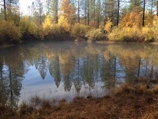 14663 La Noria Ct, Grass Valley, CA 95945 photo 7