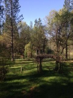 14663 La Noria Ct, Grass Valley, CA 95945 photo 9