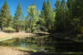 14663 La Noria Ct, Grass Valley, CA 95945 photo 11