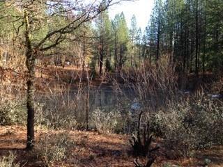 14663 La Noria Ct, Grass Valley, CA 95945 photo 16