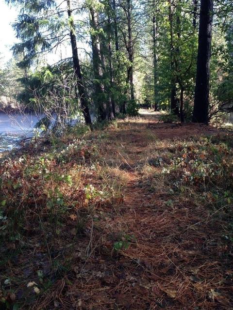 14663 La Noria Ct, Grass Valley, CA 95945 photo 38