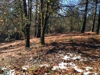 14663 La Noria Ct, Grass Valley, CA 95945 photo 12