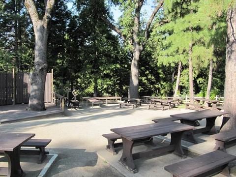 123 Fairway Village Ct, Murphys, CA 95247 photo 23