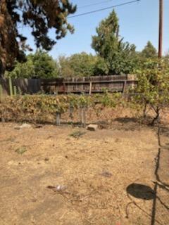 1328 Vernon Ave, Modesto, CA 95351 photo 23