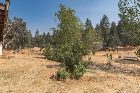 4362 Meadowview, Murphys, CA 95247 photo 37