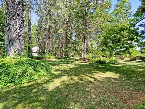22521 Shake Ridge Rd, Volcano, CA 95689 photo 56