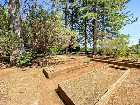22521 Shake Ridge Rd, Volcano, CA 95689 photo 58