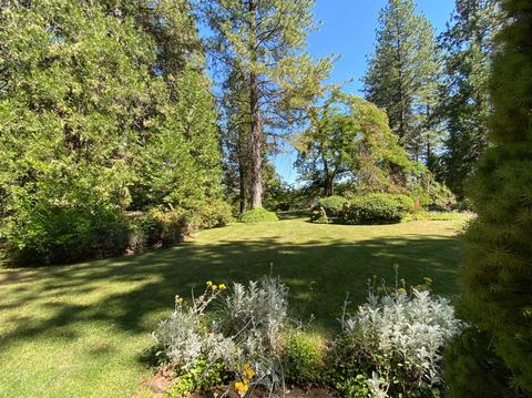 22521 Shake Ridge Rd, Volcano, CA 95689 photo 52