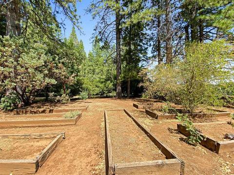 22521 Shake Ridge Rd, Volcano, CA 95689 photo 59