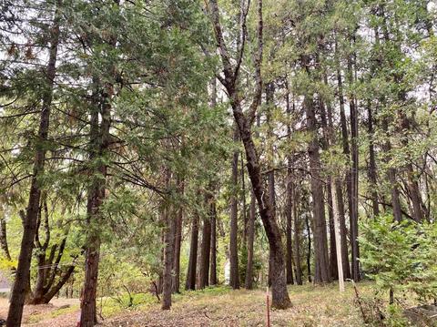 12666 Burma Rd, Grass Valley, CA 95945 photo 28