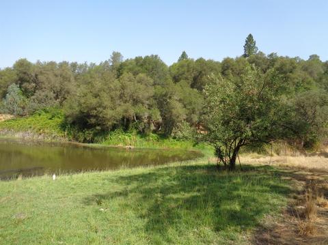 10734 Wolf Rd, Grass Valley, CA 95949 photo 1