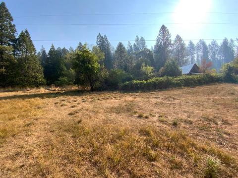 10175 La Porte, Challenge, CA 95925 photo 50