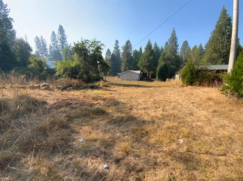 10175 La Porte, Challenge, CA 95925 photo 51