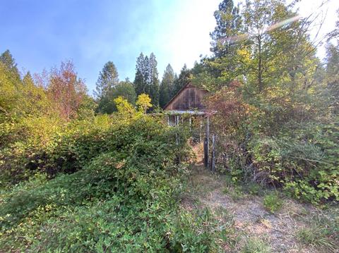10175 La Porte, Challenge, CA 95925 photo 31