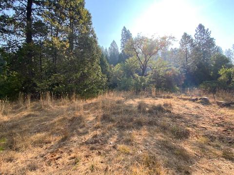 10175 La Porte, Challenge, CA 95925 photo 48