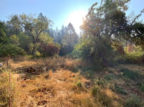 10175 La Porte, Challenge, CA 95925 photo 45