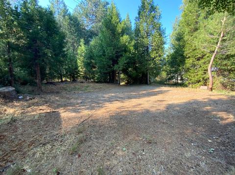 10175 La Porte, Challenge, CA 95925 photo 46