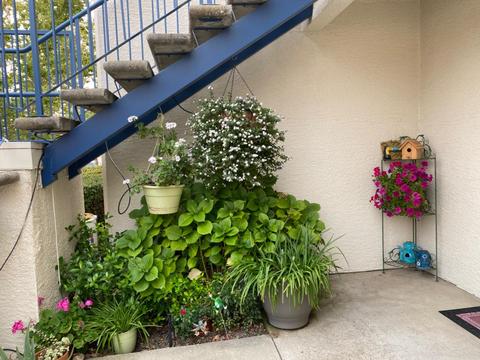 2807 Beachcomber Dr, Rocklin, CA 95677 photo 25