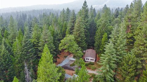 98 Towle Hill Rd, Alta, CA 95701 photo 44